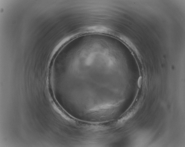 X0000081460941200701121254