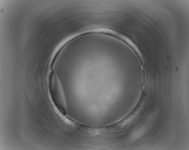 X0000081460951200701121254