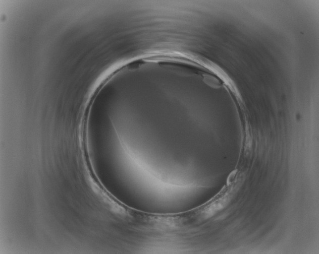 X0000081460958200701121254