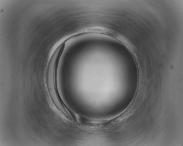 X0000081460960200701121254