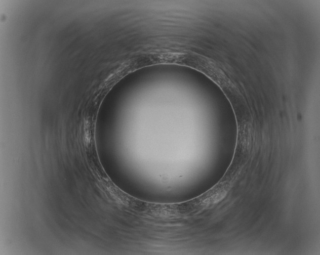 X0000081460962200701121253