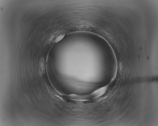 X0000081460963200701121253