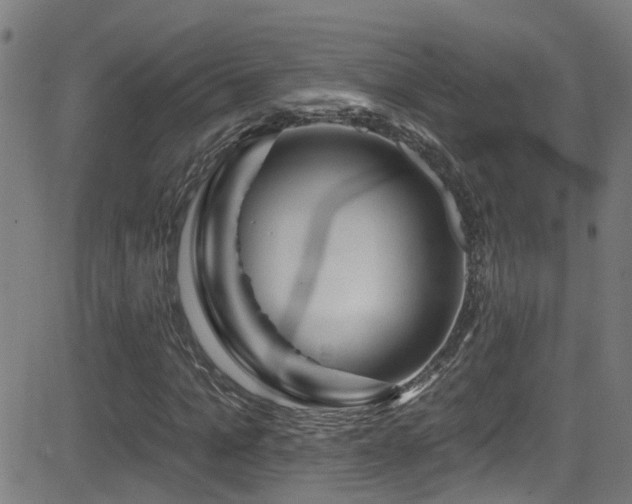 X0000081460965200701121253