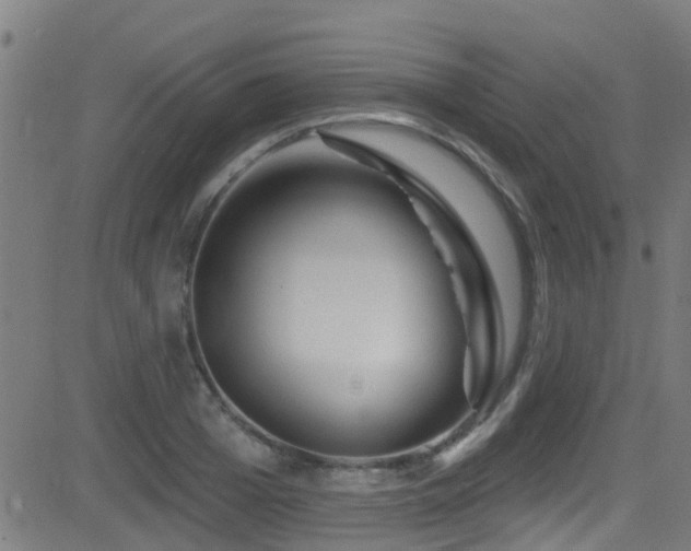 X0000081460985200701121253