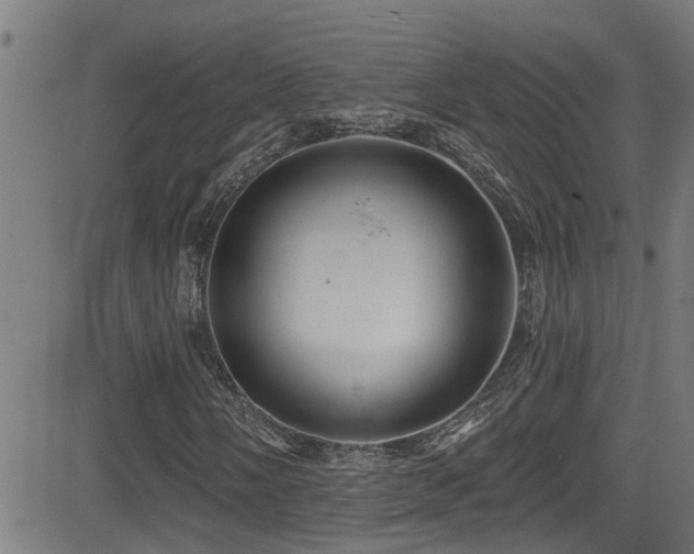 X0000081461058200701121252