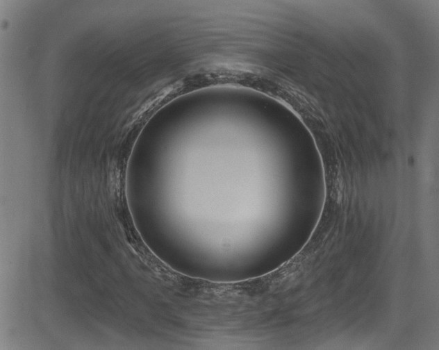 X0000081461061200701121252