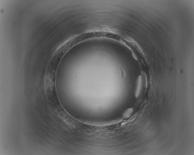 X0000081461064200701121252