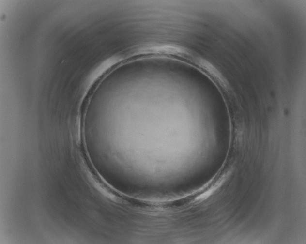 X0000081461079200701121251