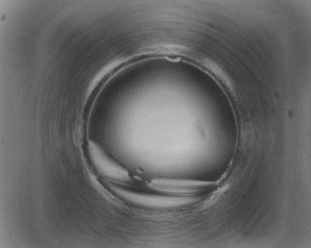 X0000081461085200701121251