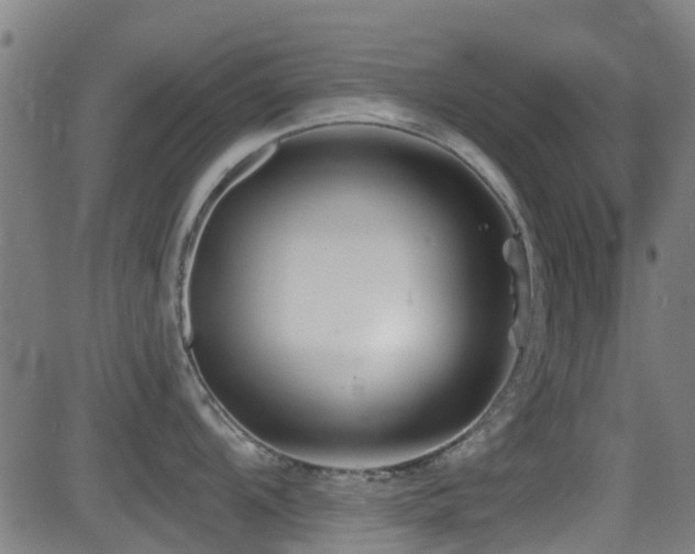 X0000081461104200701121251