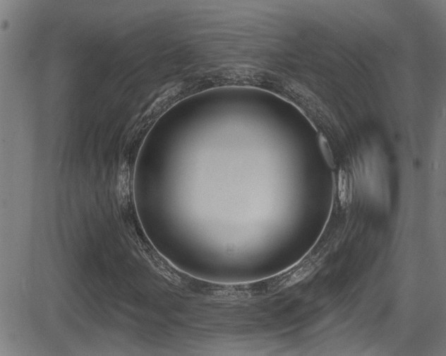 X0000081461107200701121250
