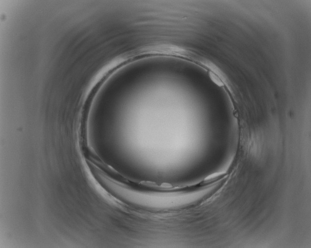 X0000081461139200701121251