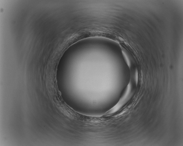 X0000081461153200701121250