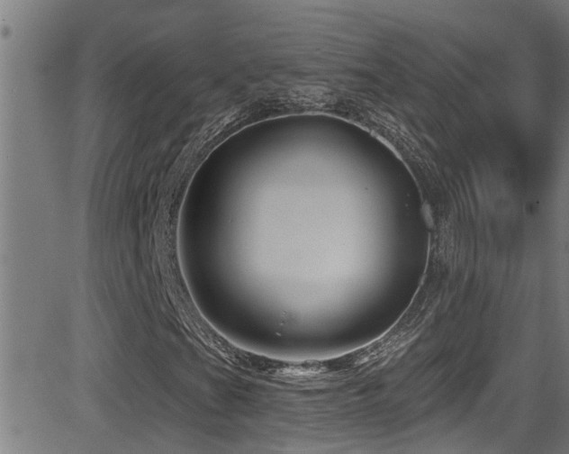 X0000081461201200701121249