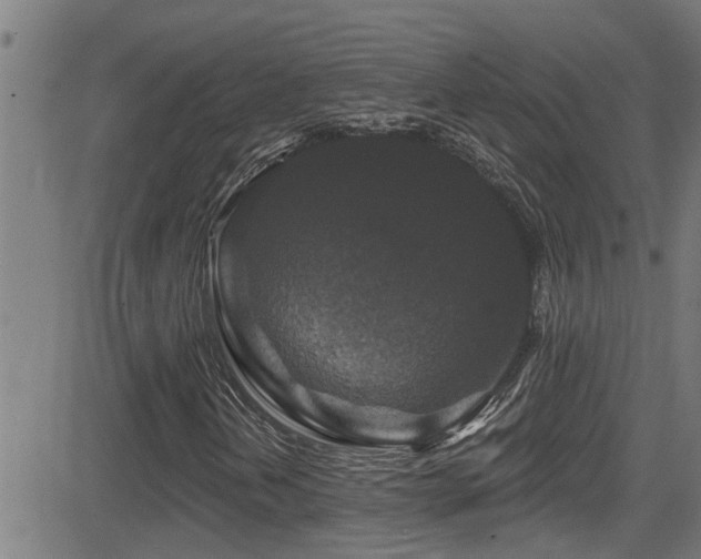 X0000081461202200701121249