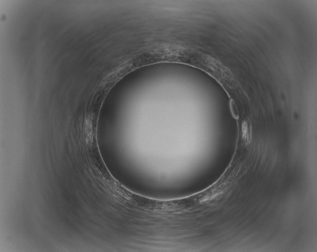 X0000081461203200701121249