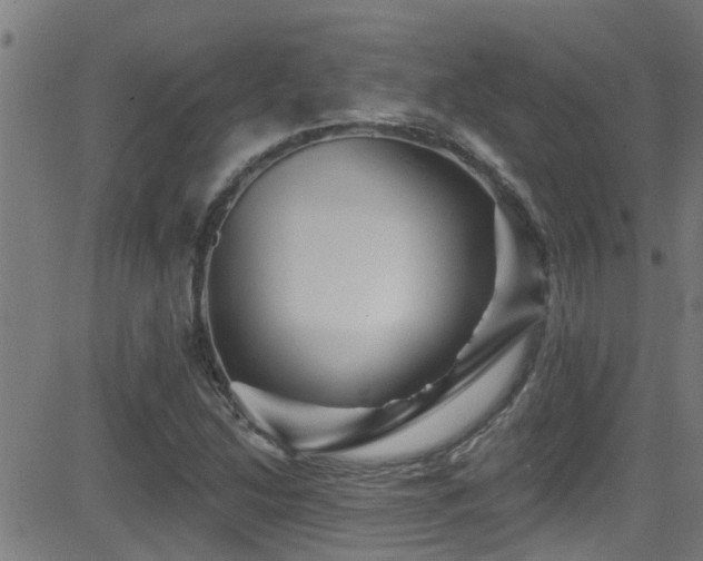 X0000081461214200701121249