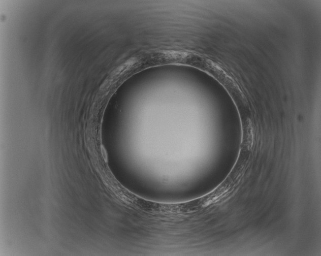 X0000081461249200701121249