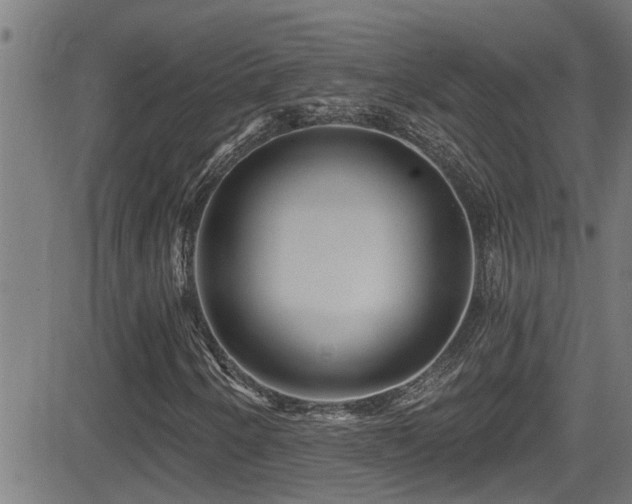 X0000081461250200701121248