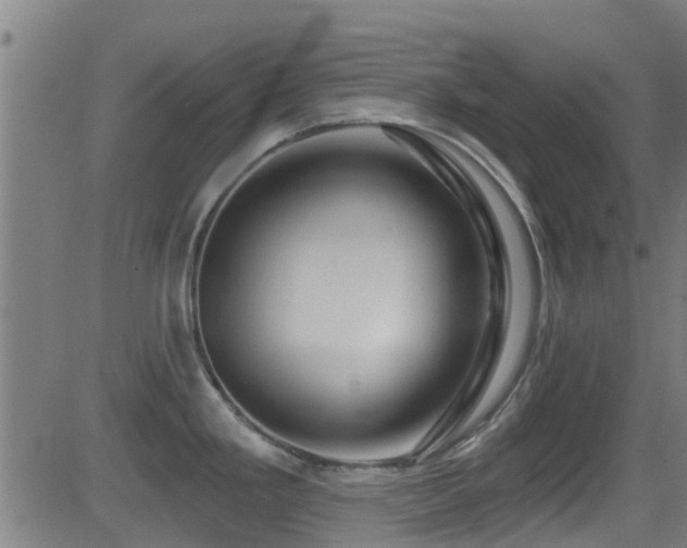 X0000081461293200701121248