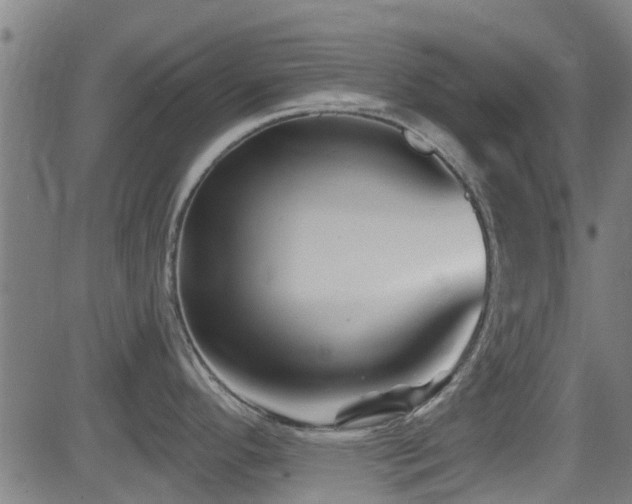 X0000081461296200701121248