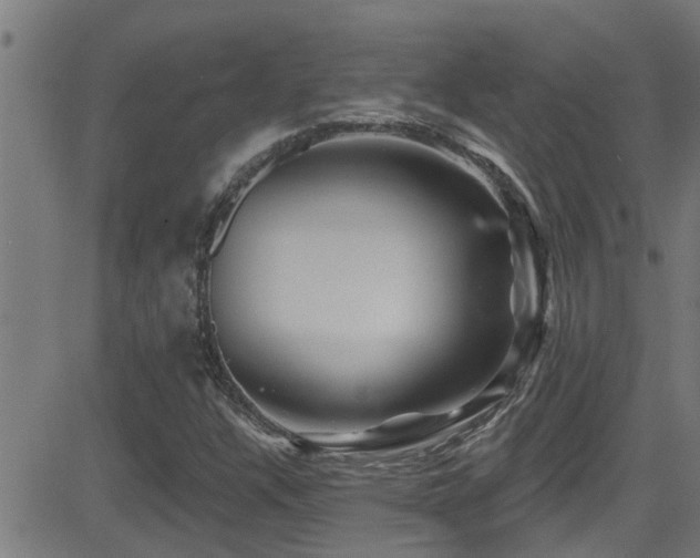 X0000081461304200701121247