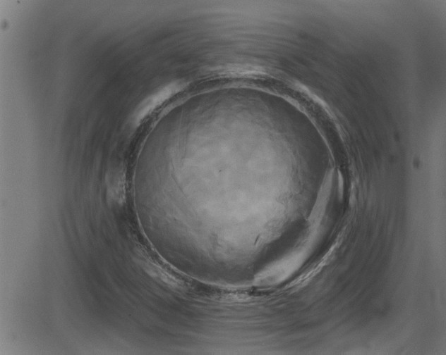 X0000081461306200701121247