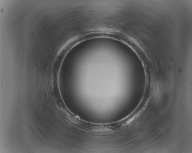 X0000081461307200701121247