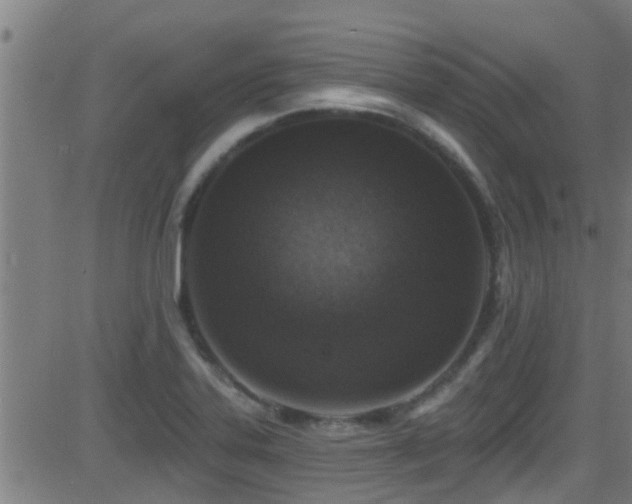 X0000081461323200701121247