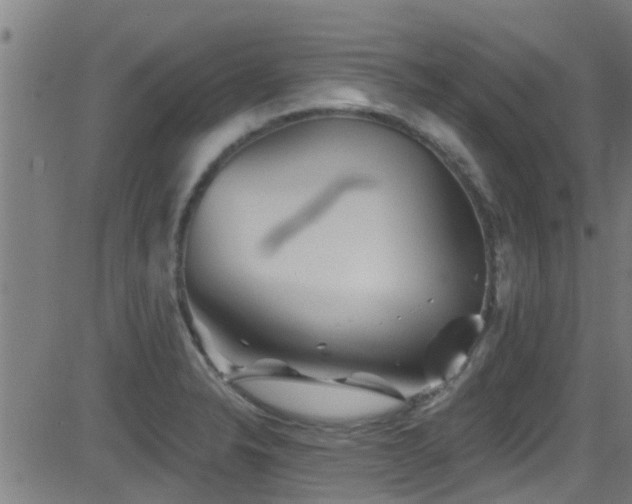 X0000081461326200701121247