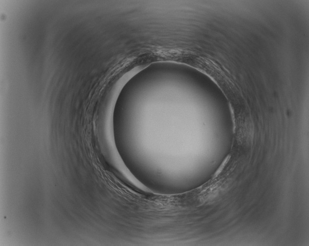 X0000081461345200701121247