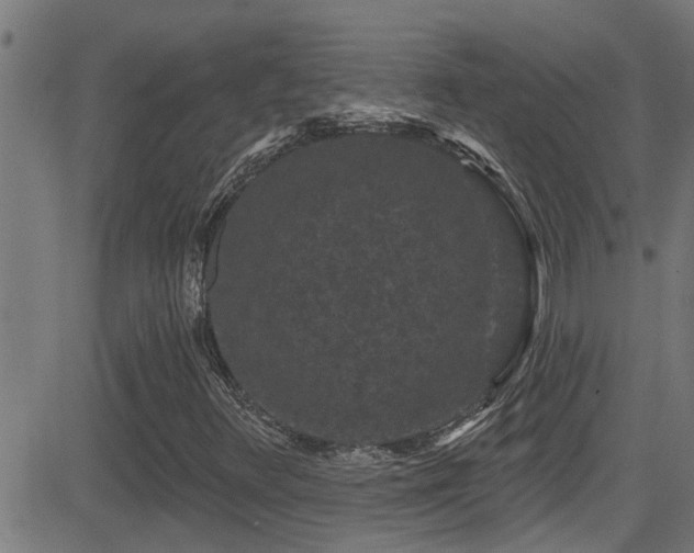 X0000081461348200701121247