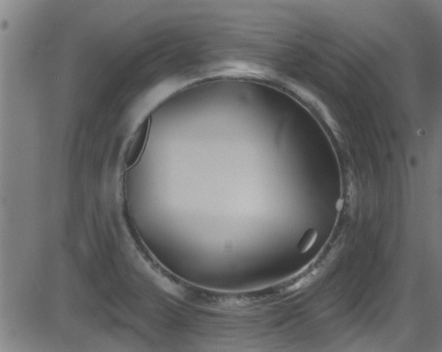 X0000081461375200701121246