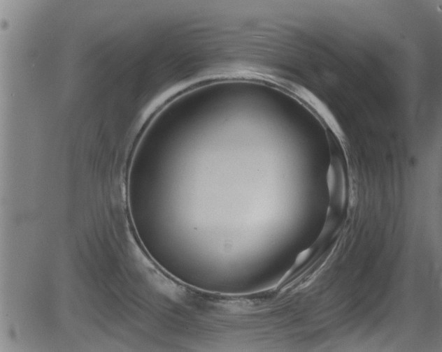 X0000081461388200701121246