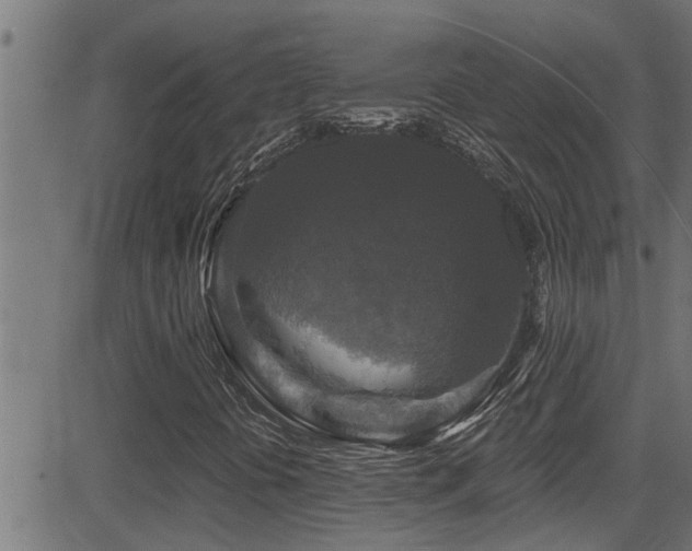 X0000081461394200701121245