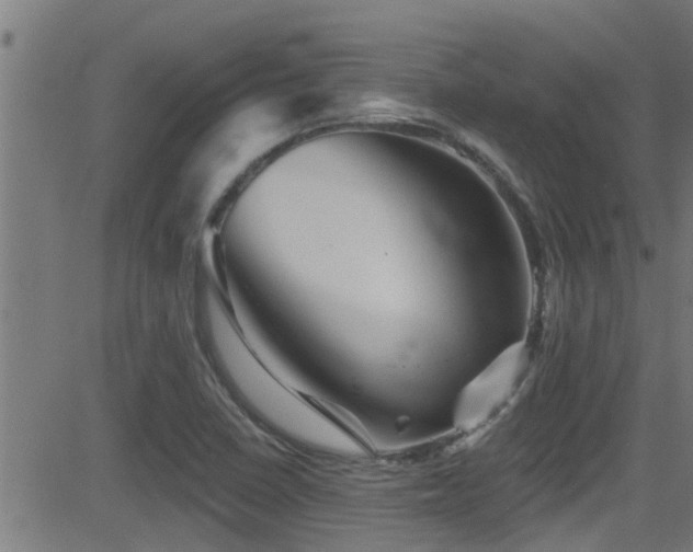 X0000081461410200701121246