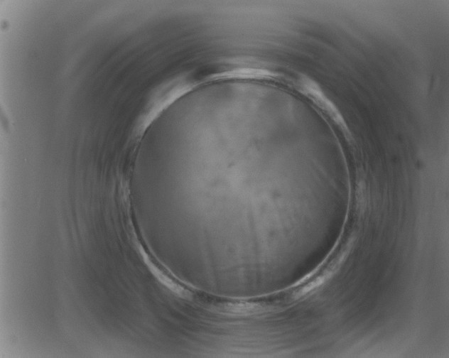 X0000081461425200701121246