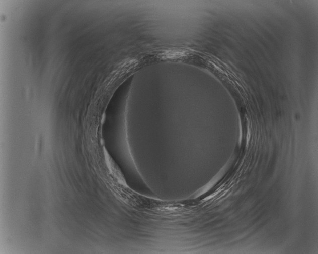 X0000081461441200701121245