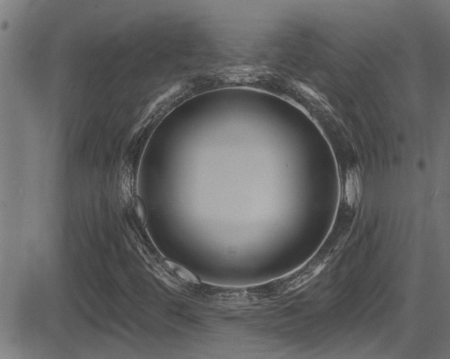 X0000081461444200701121245