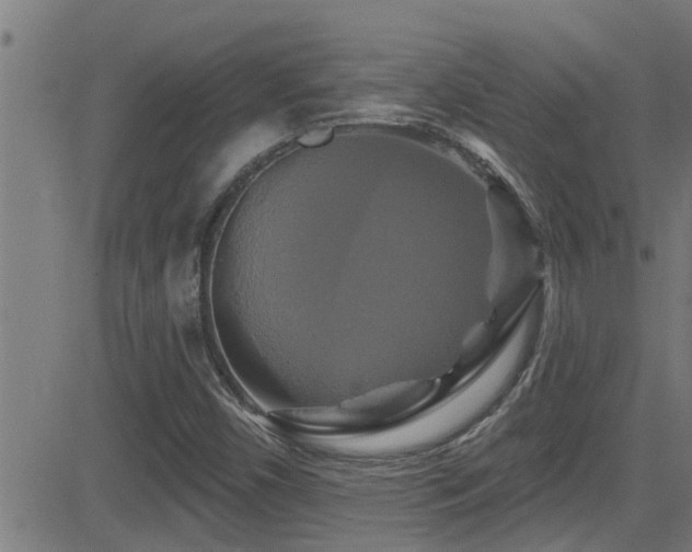 X0000081461450200701121245