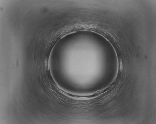 X0000081461492200701121244