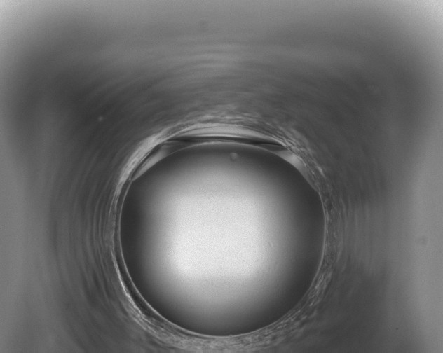 X0000081460003200701191752