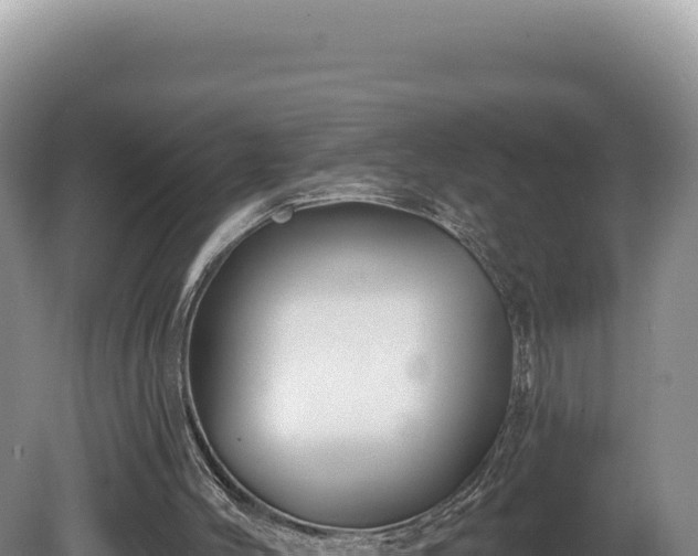 X0000081460004200701191752