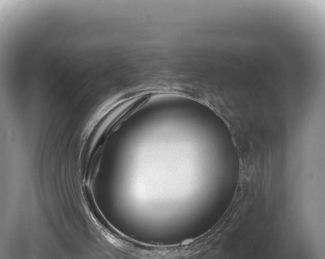 X0000081460005200701191752