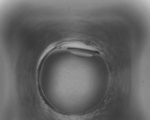 X0000081460006200701191752