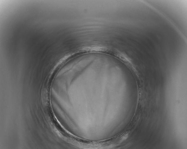 X0000081460012200701191752