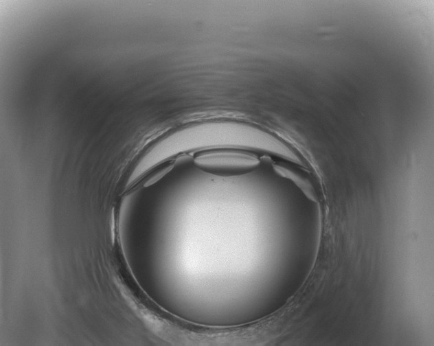 X0000081460013200701191752