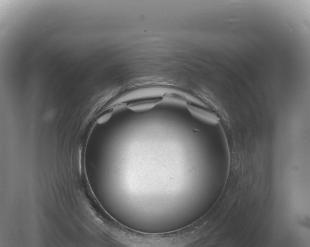 X0000081460014200701191752