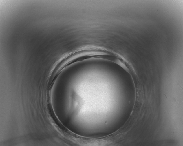 X0000081460015200701191751
