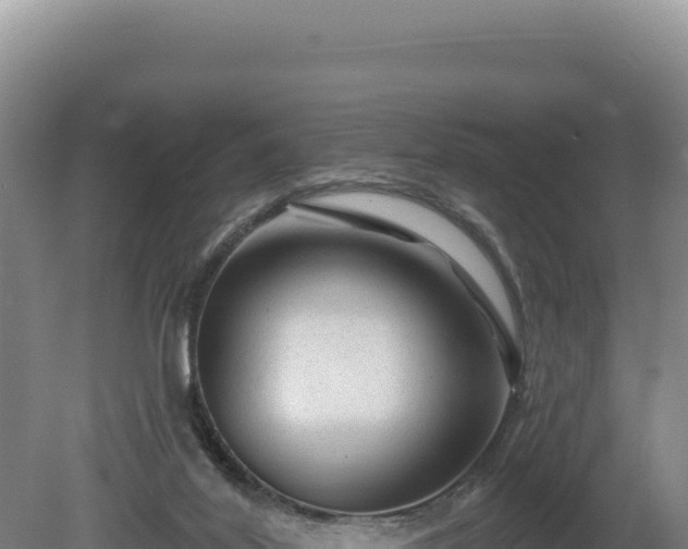 X0000081460020200701191751